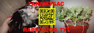 метадон Донской