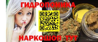 ешки Дубна