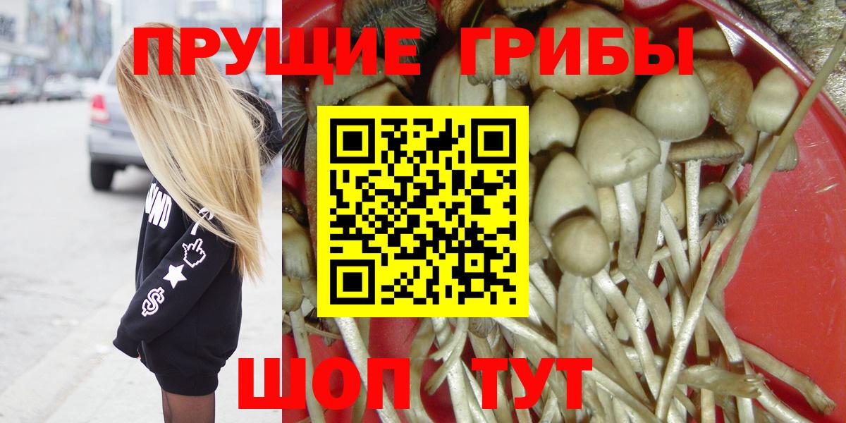 Псилоцибиновые грибы мицелий Миллерово