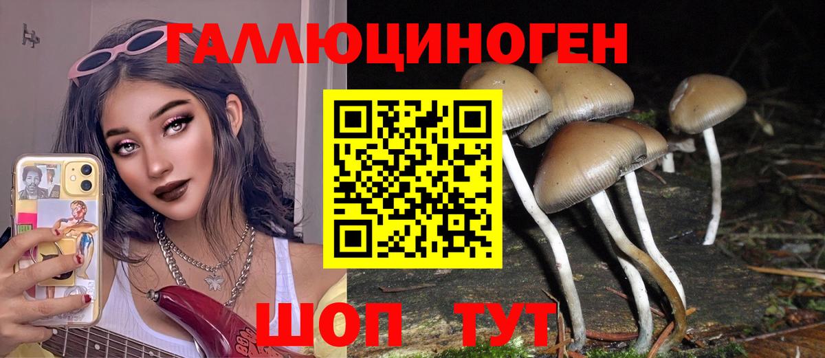 Галлюциногенные грибы ЛСД  Псилоцибиновые грибы Psilocybe  Миллерово  Вход с VPN 